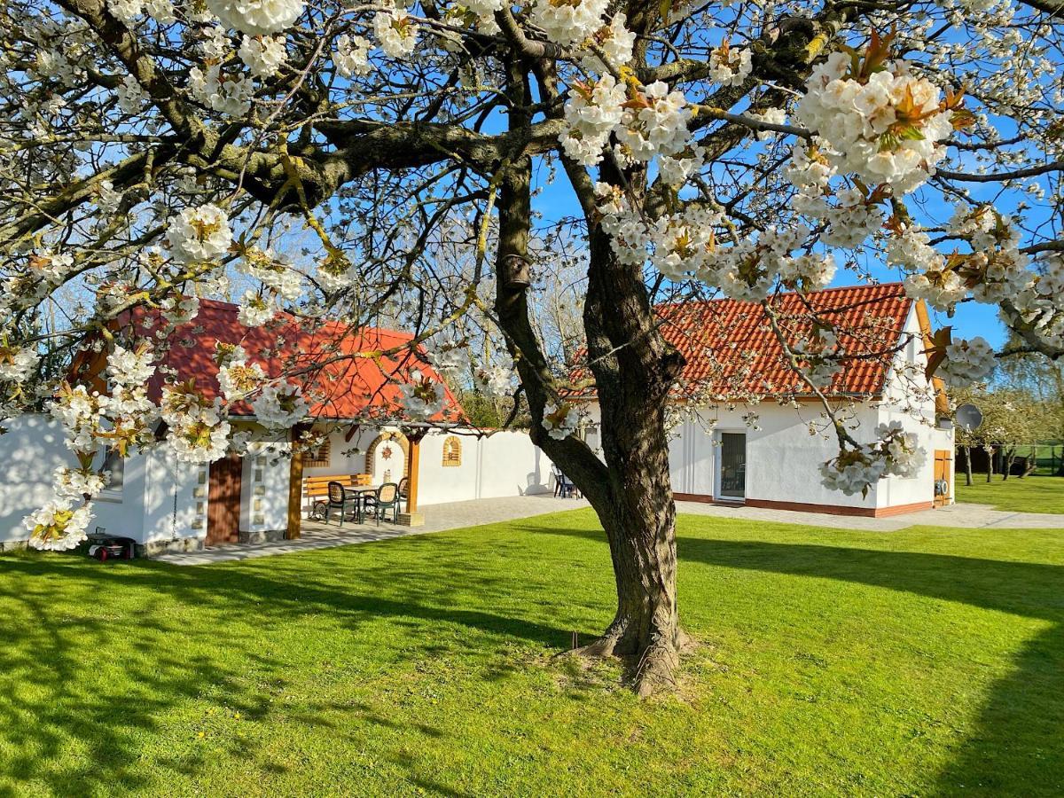 Ferienhaus Berta Sassnitz Εξωτερικό φωτογραφία