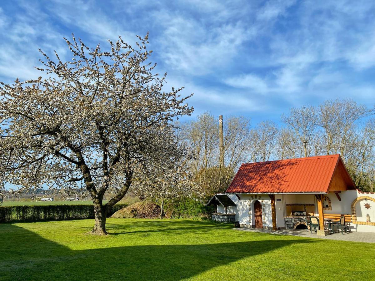 Ferienhaus Berta Sassnitz Εξωτερικό φωτογραφία